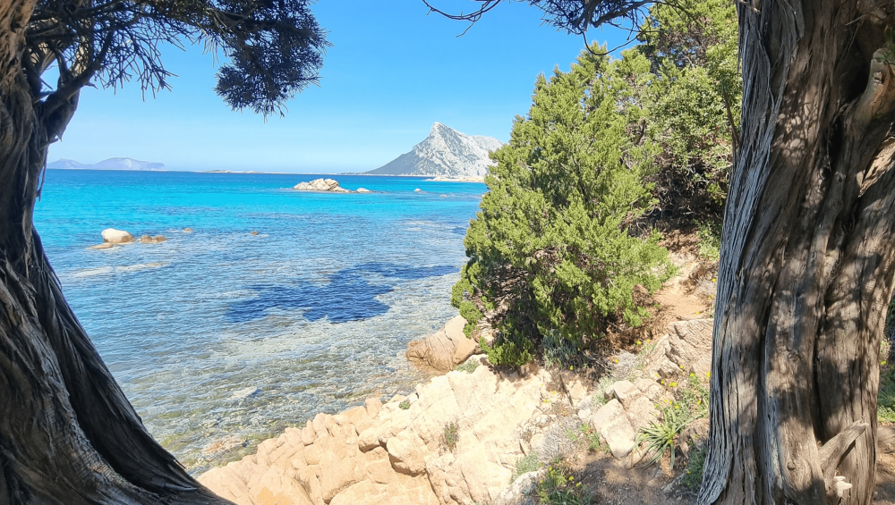 Spiagge e mare | Costa Smeralda Tour con dranexperience.com