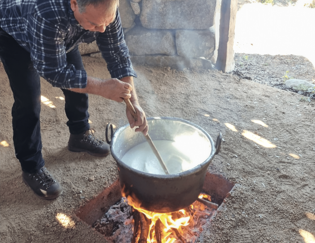 Shepherd | The longevity trip Sardinia treasures with dranexperience.com