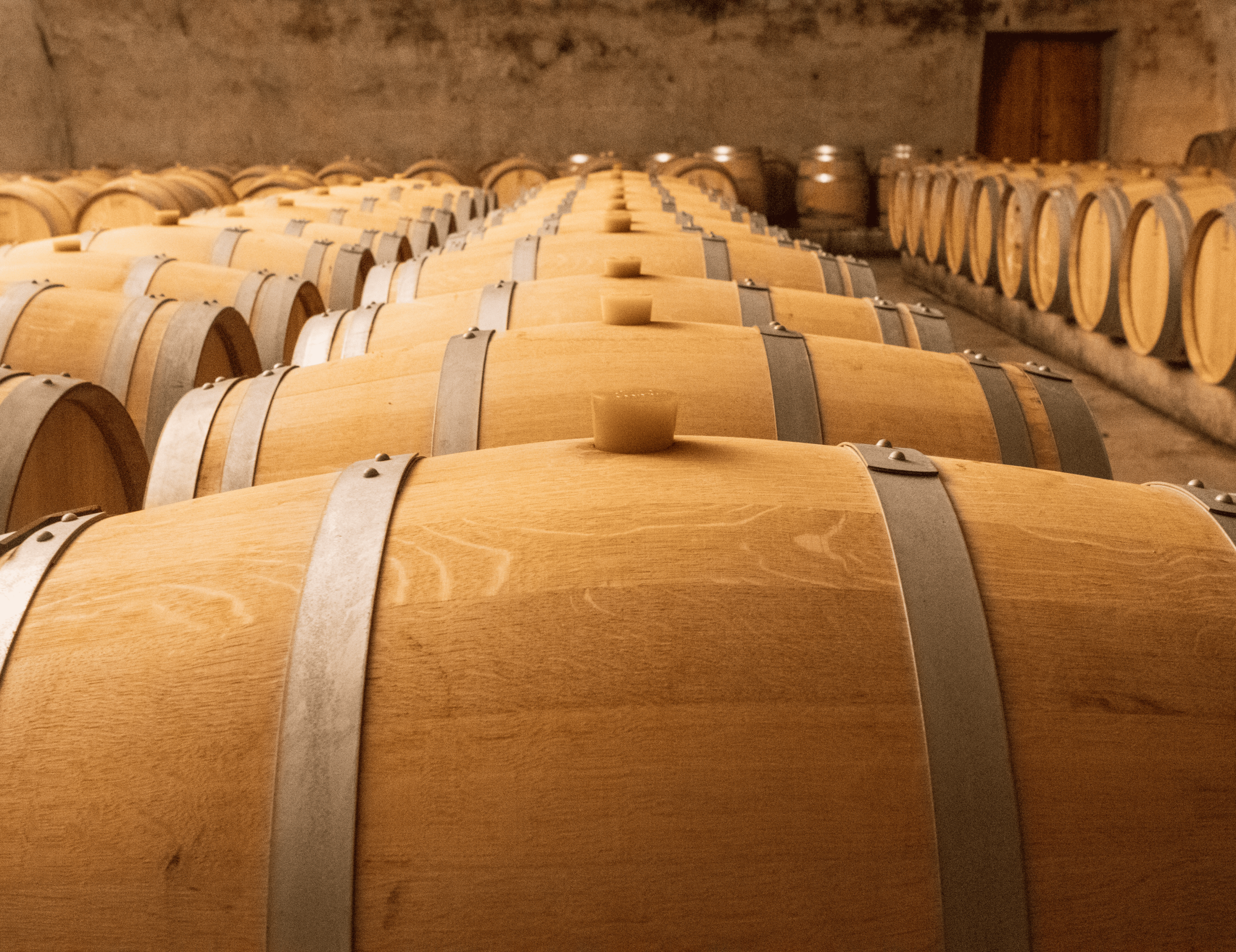 winery | Sardinia wine tours with dranexperience.com